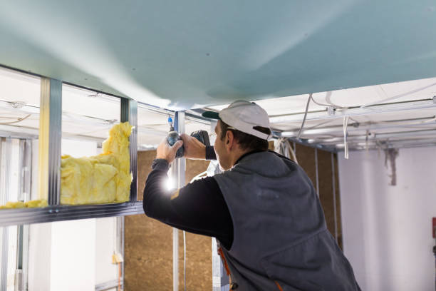 Best Insulation Contractor Near Me  in Creighton, NE
