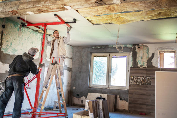 Best Local Insulation Services  in Creighton, NE