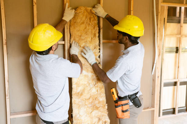 Best Soundproof Insulation Installation  in Creighton, NE