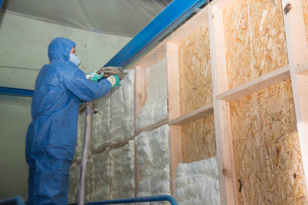 Best Cellulose Insulation  in Creighton, NE