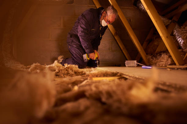 Best Insulation Repair Services  in Creighton, NE