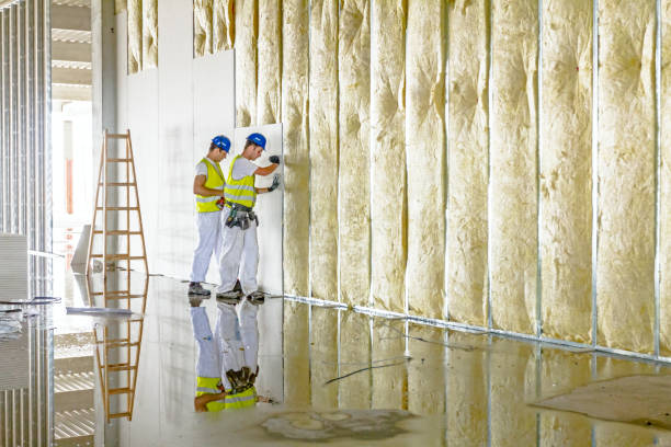 Best Insulation Contractors for Homes  in Creighton, NE